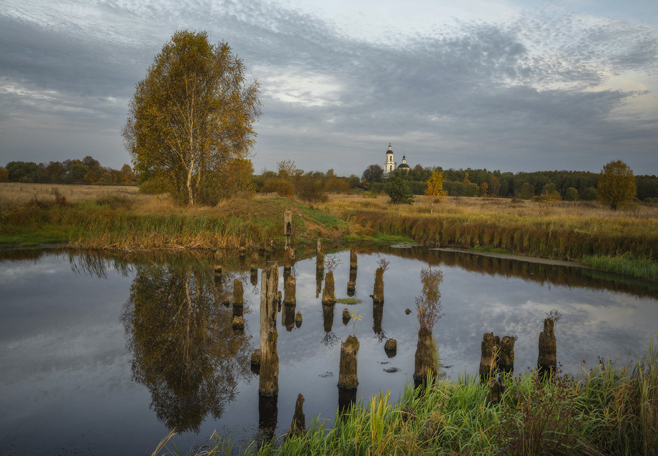 Осеннее утро.