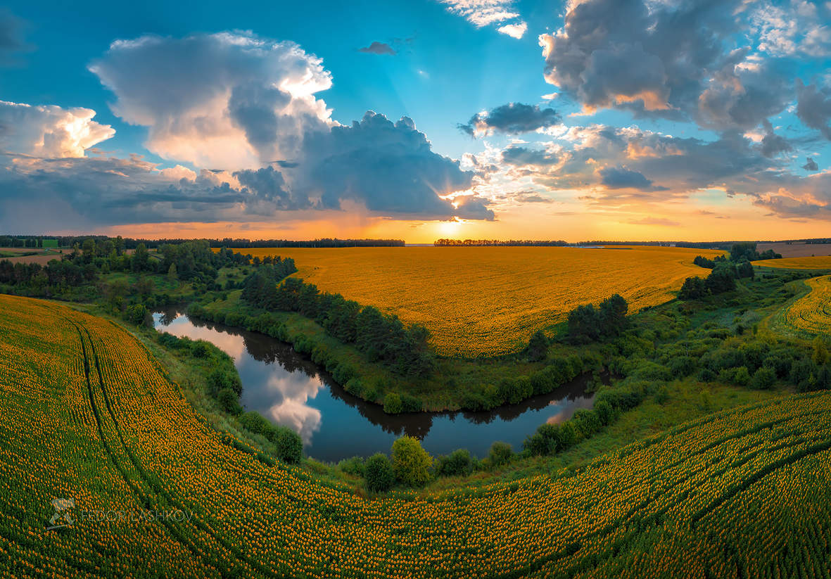 Золотые поля