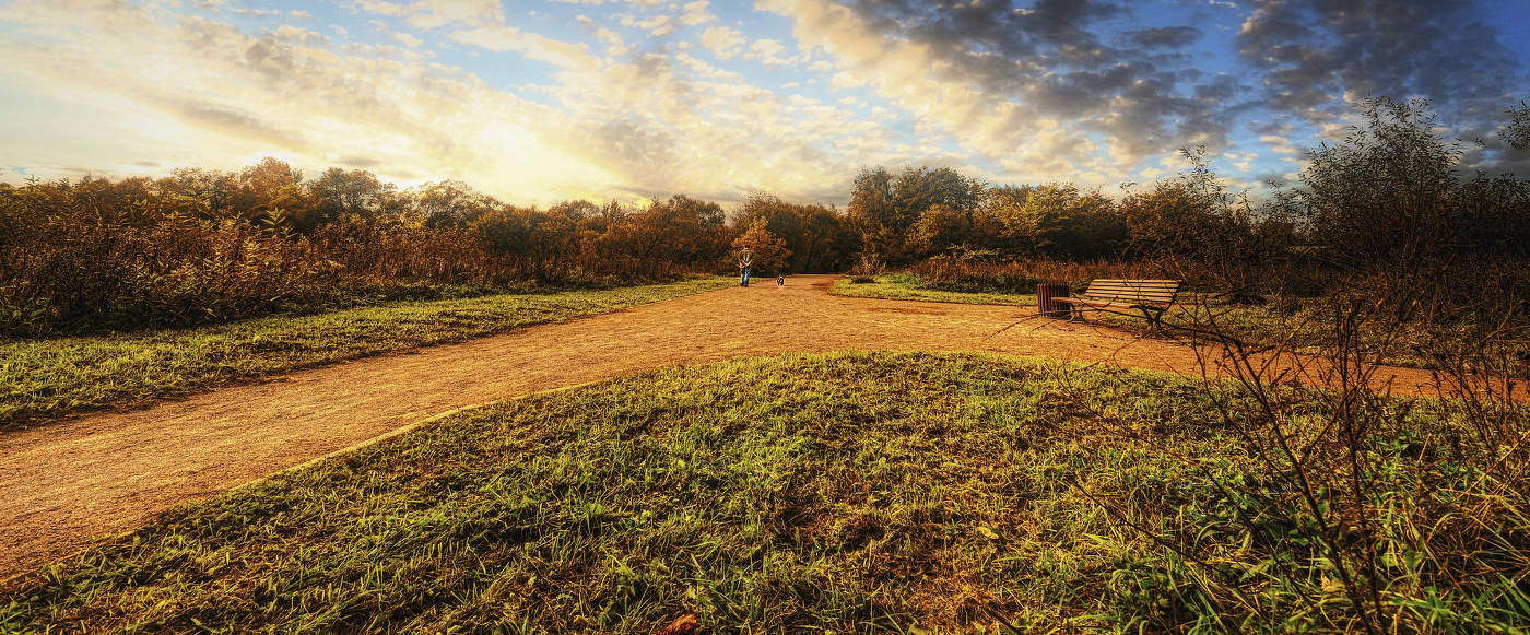 Человек и пёс.
