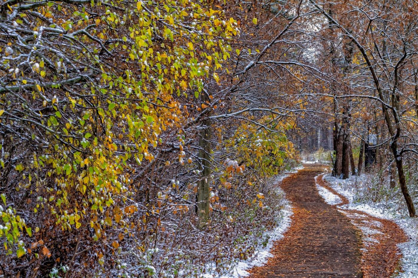 Осенний поцелуй после жаркого лета