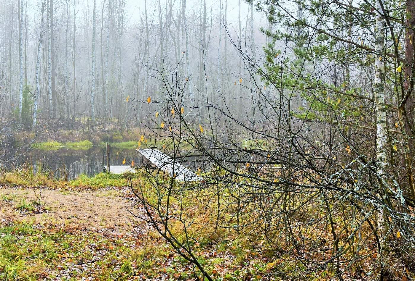 Осенний этюд ...