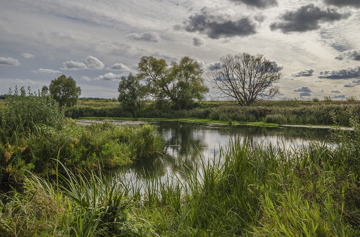 На слиянии Упы и Лебягожки