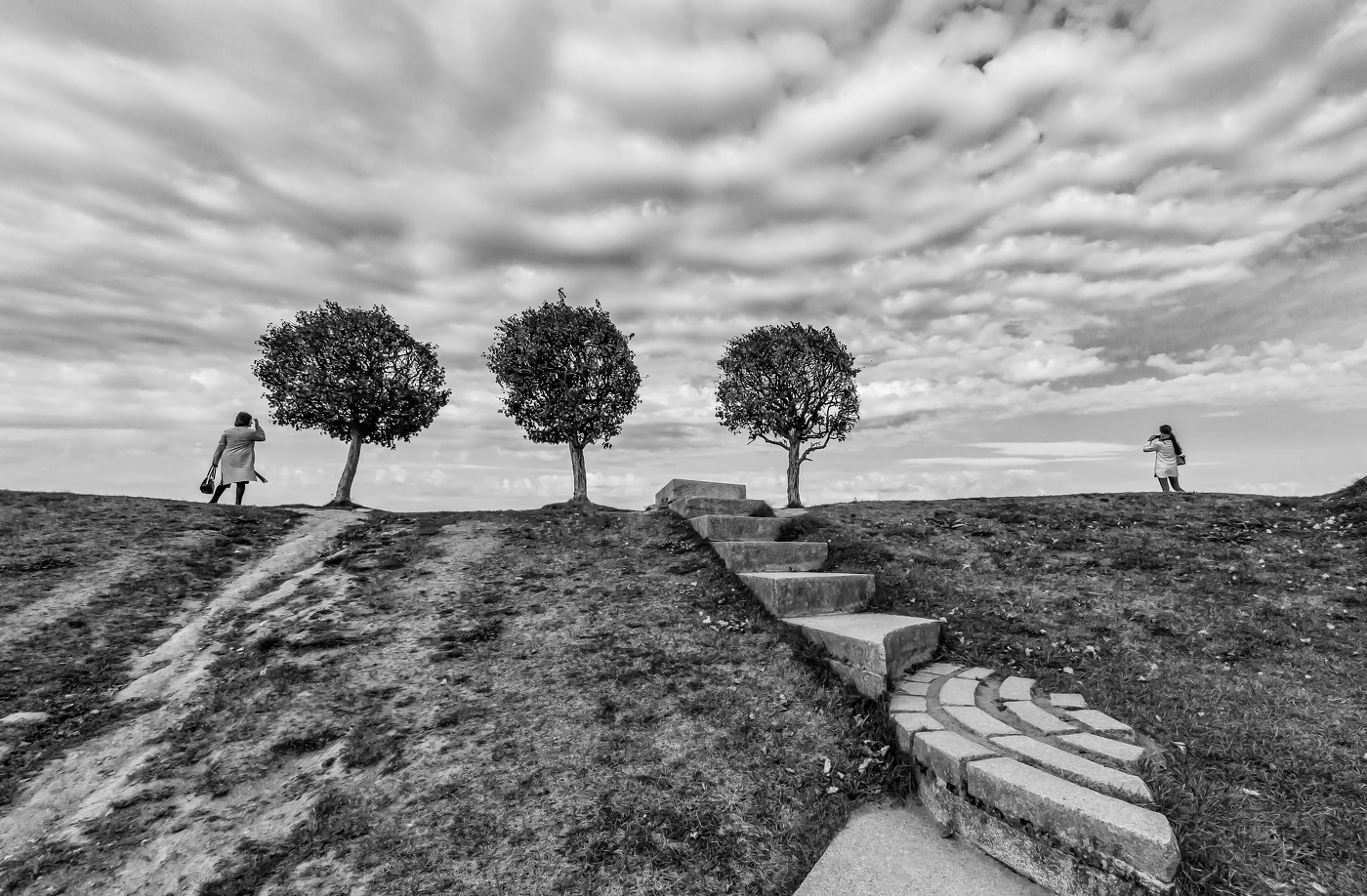 День в Марли.