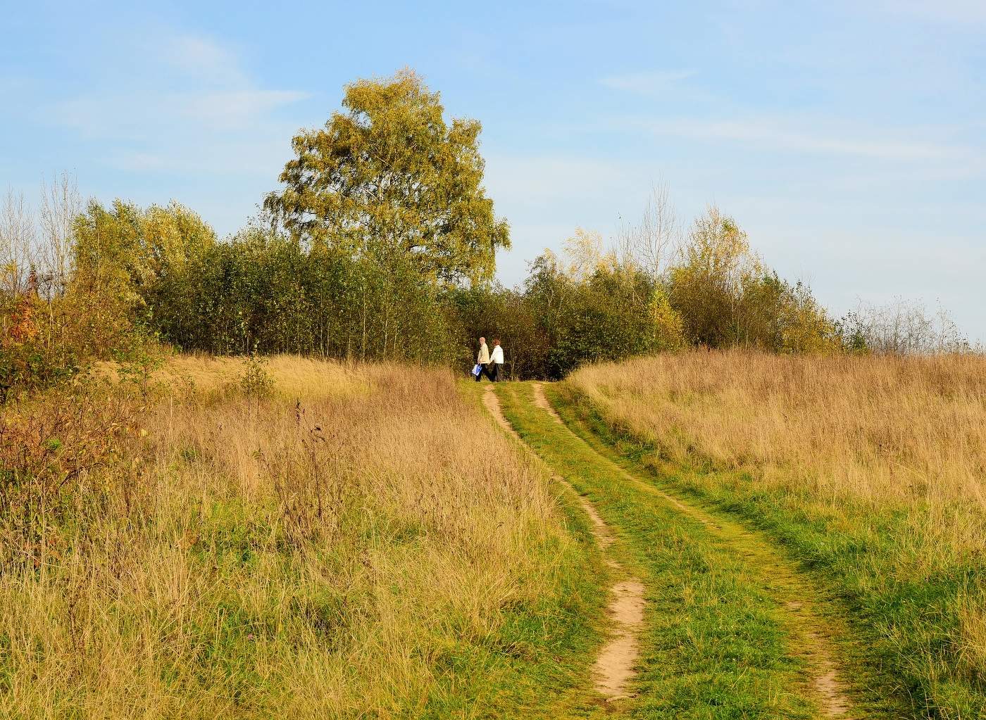 "Я встретил вас - и все былое в отжившем сердце ожило..."