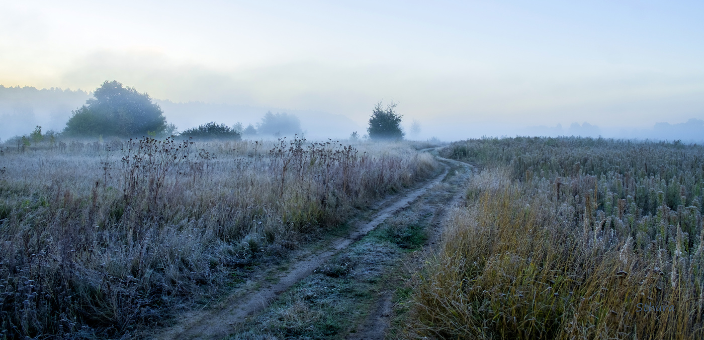 Заморозки в сентябре.