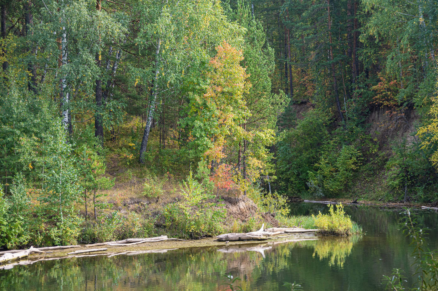 Тихая заводь