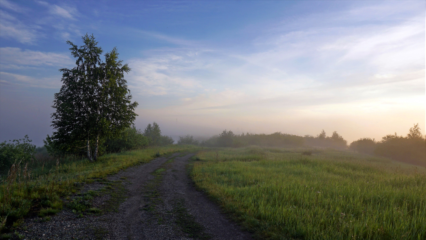 Свежим утром