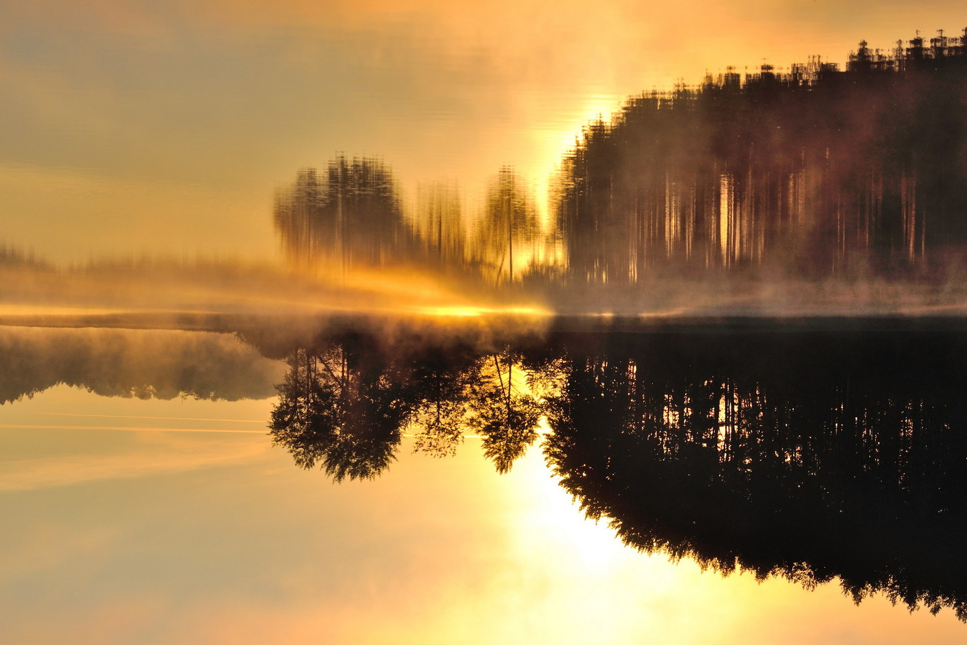 Солнцеворот.