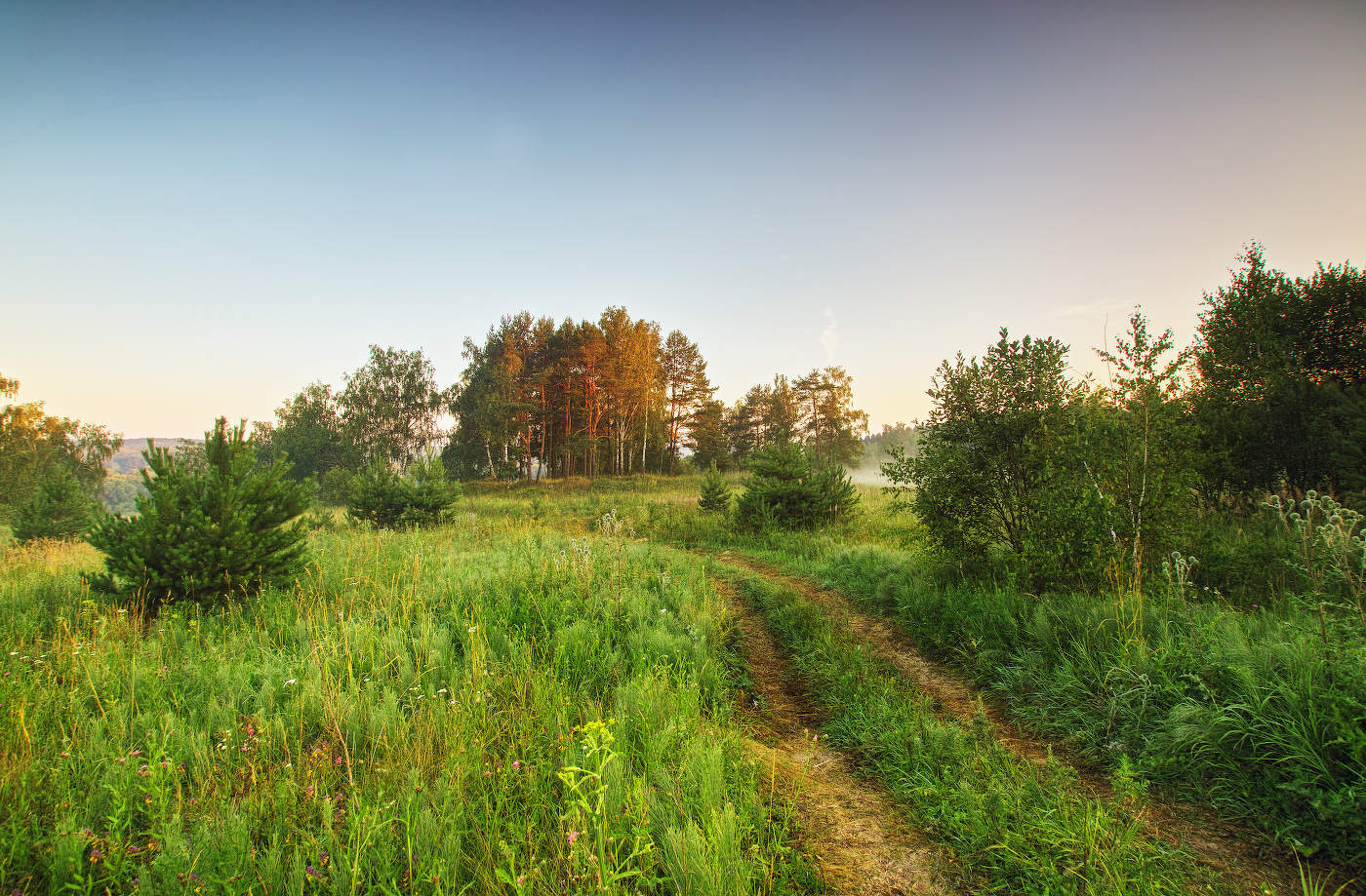 Прохладное утро жаркого дня