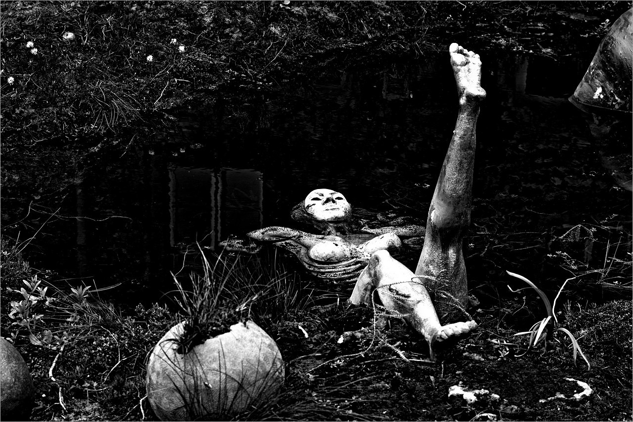 Черный пруд