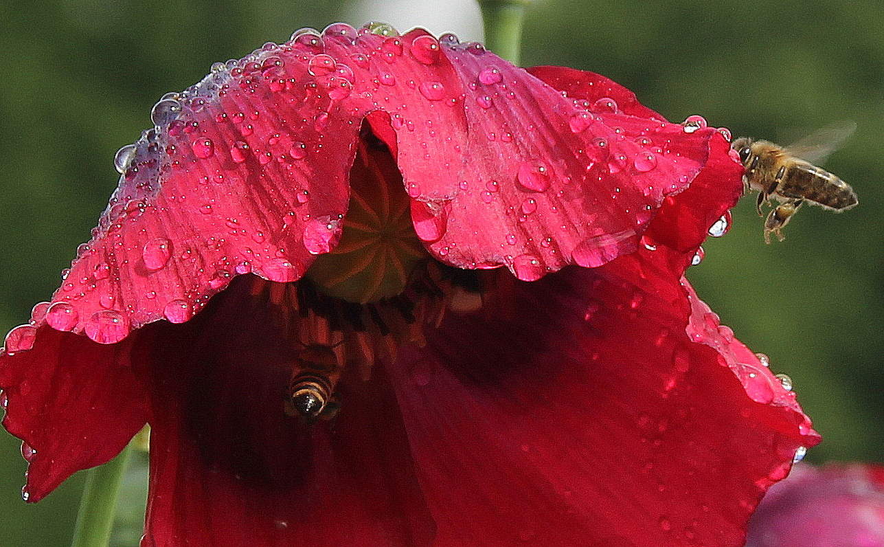 После дождя.