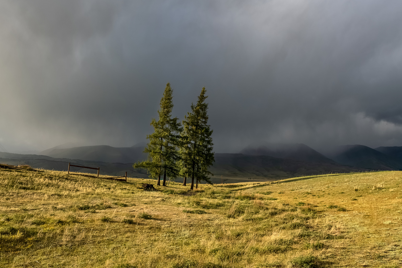 Перед грозой