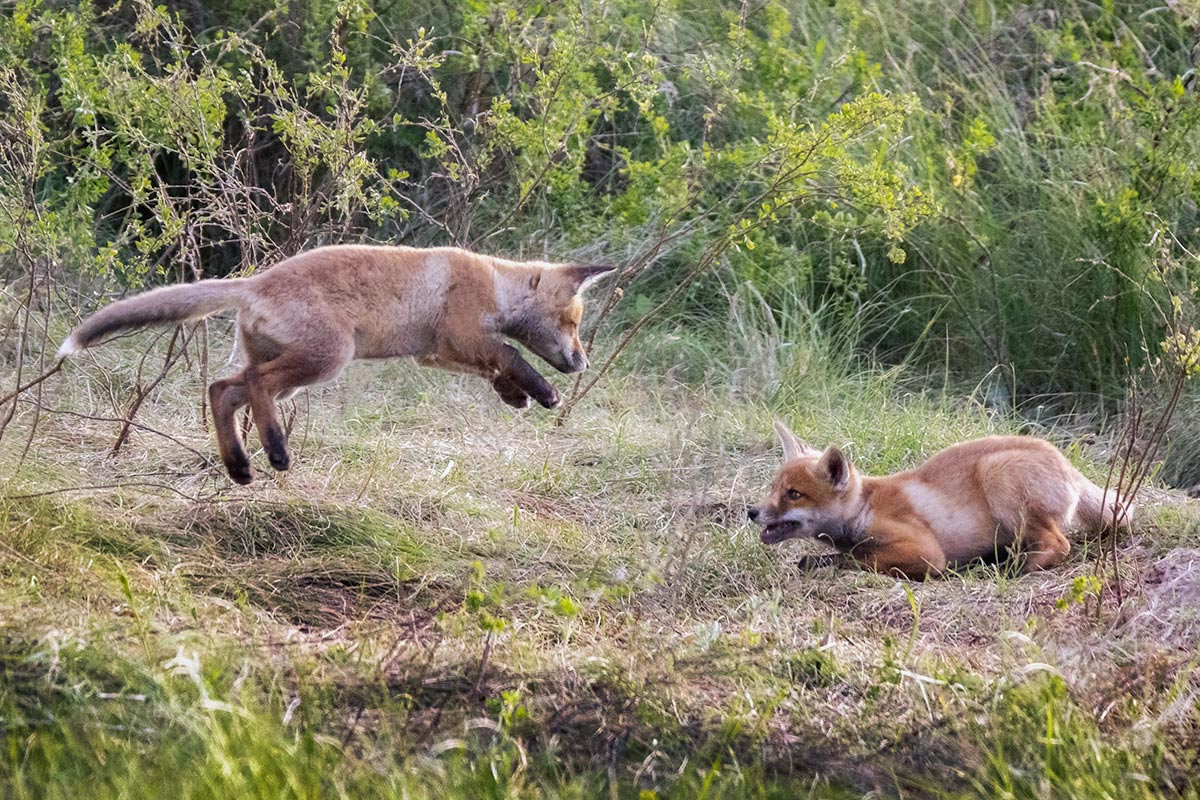 Кто выше прыгнет