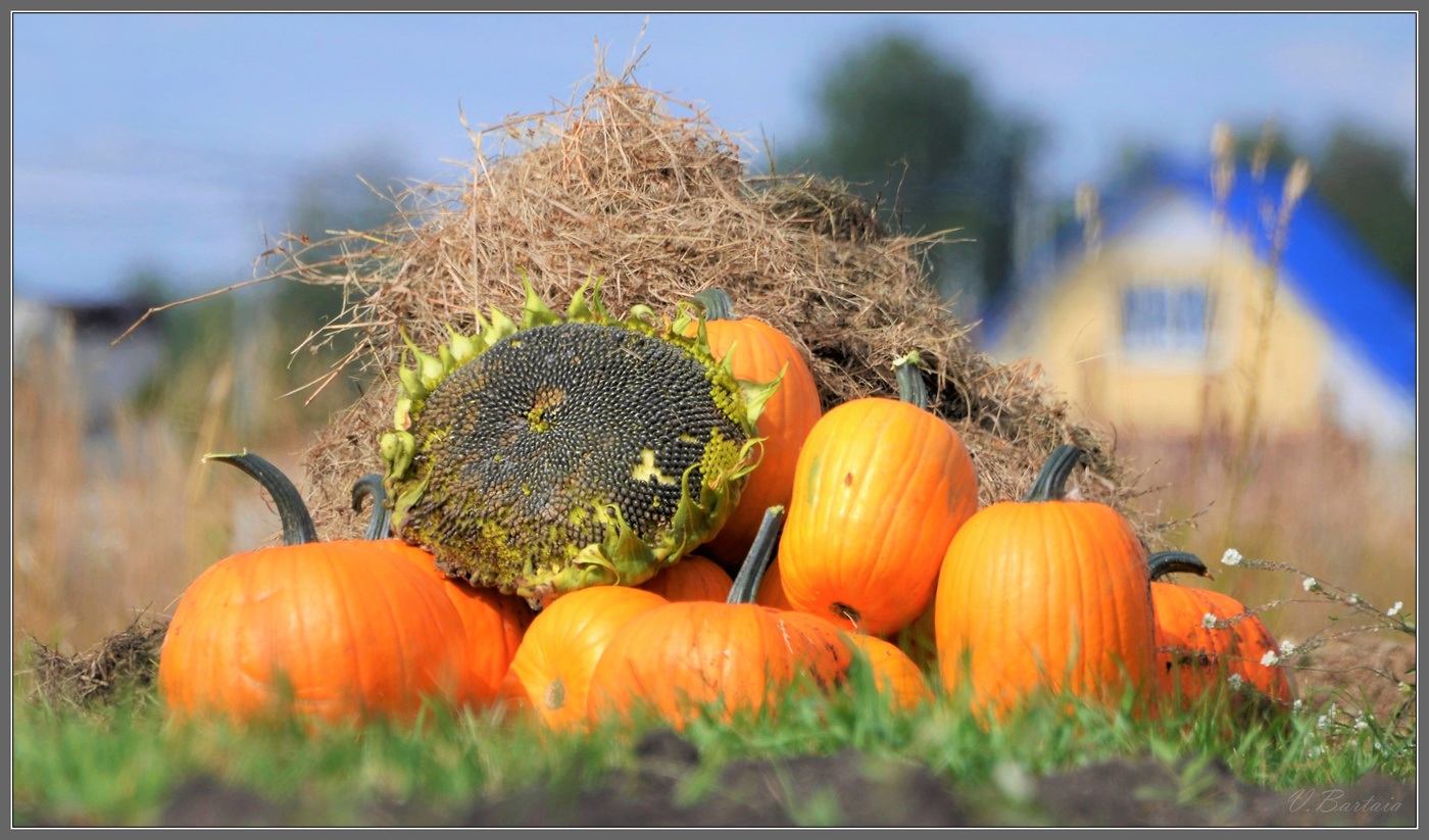 Щедрая осень