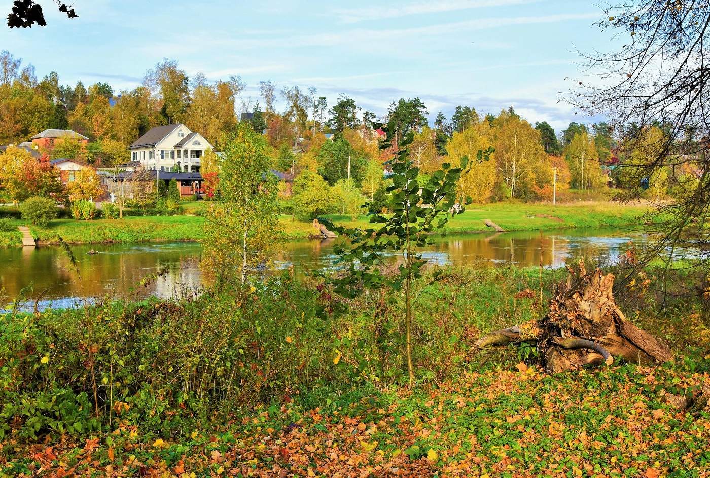 "Осень просто сияла, смеялась некстати ..."
