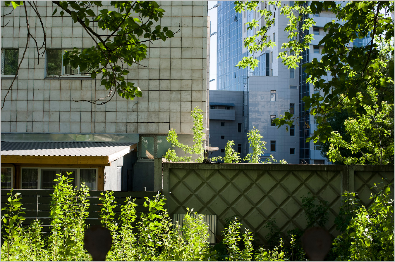 за стенчивость...