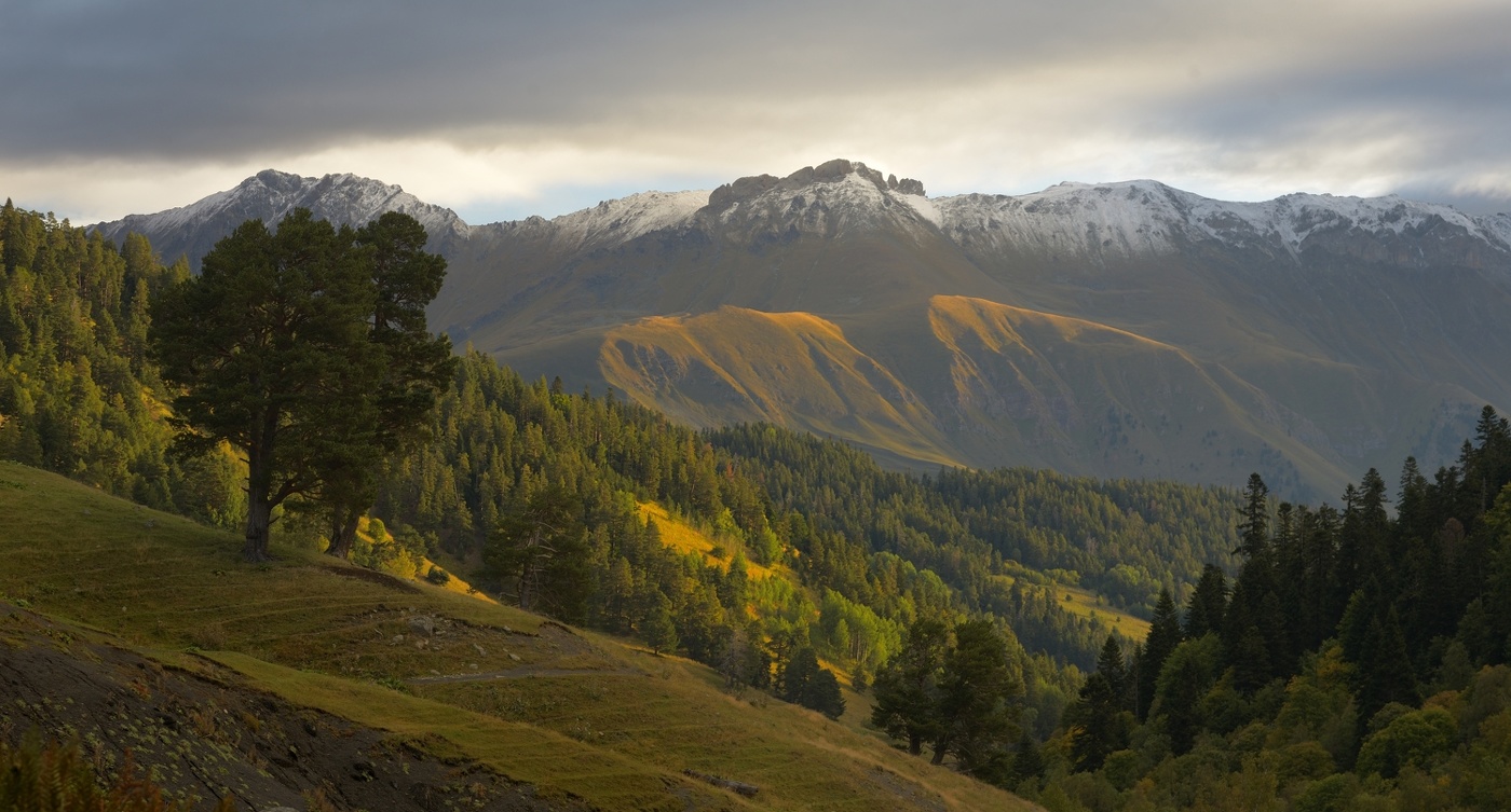 Утро в горах