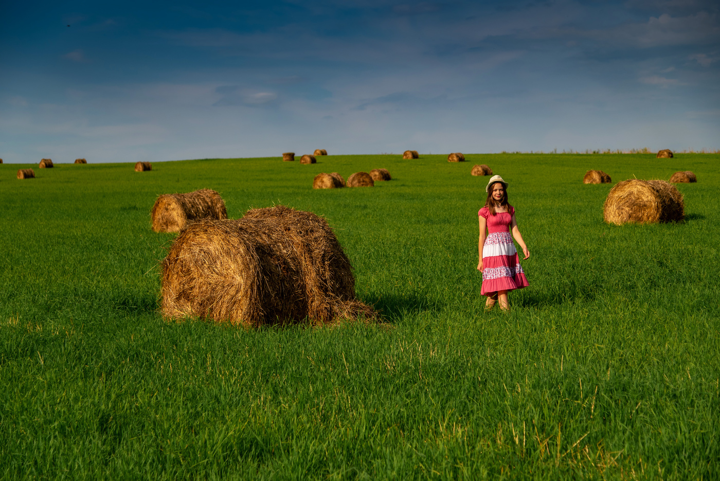 Поле с рулонами