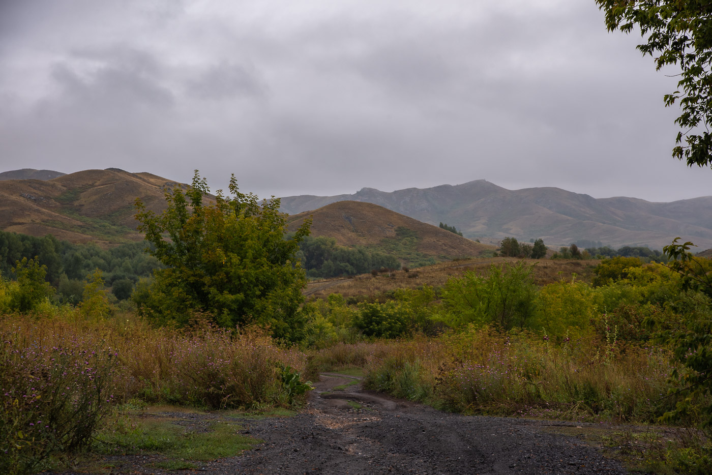 Пасмурное утро