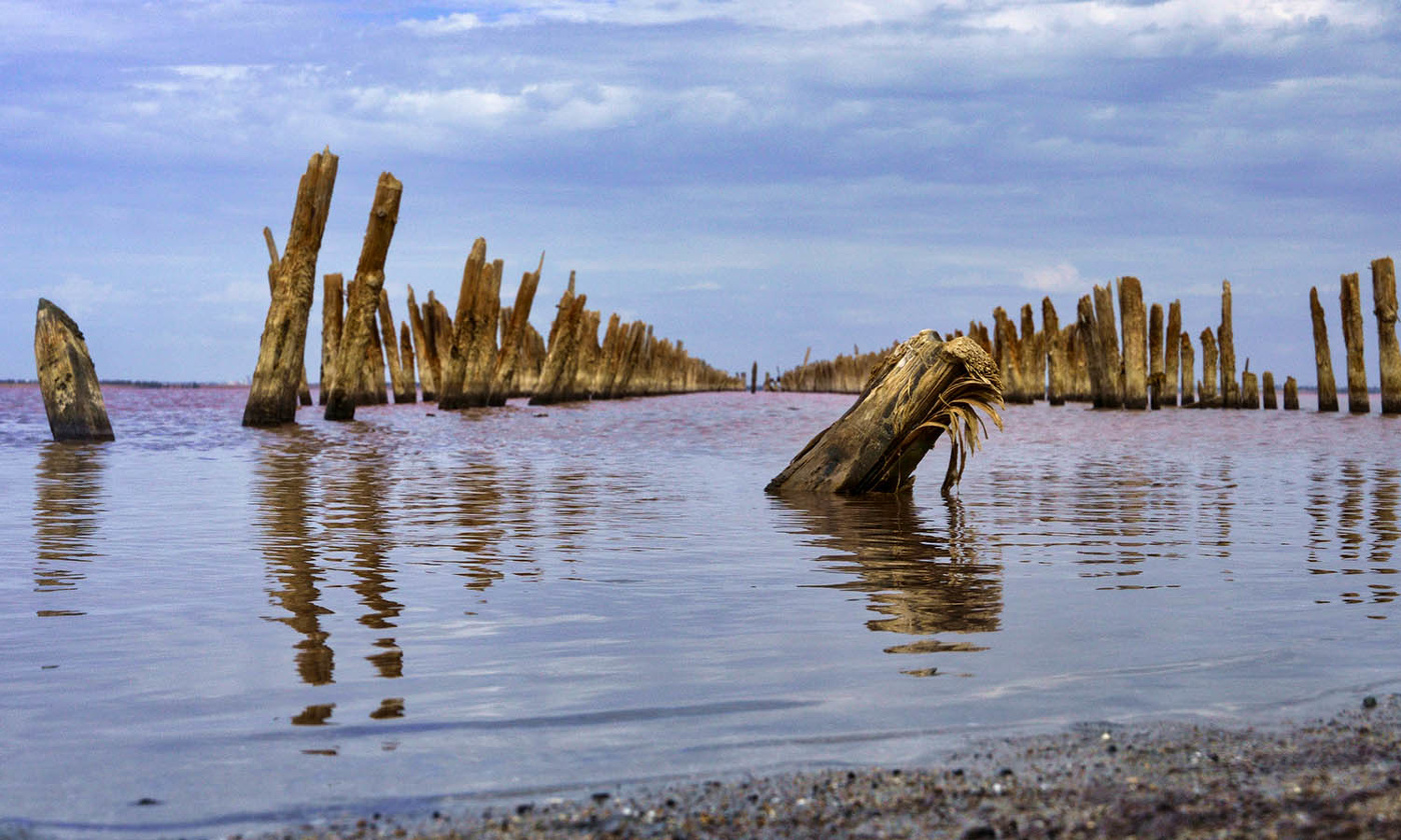 На озере Сасык-Сиваш