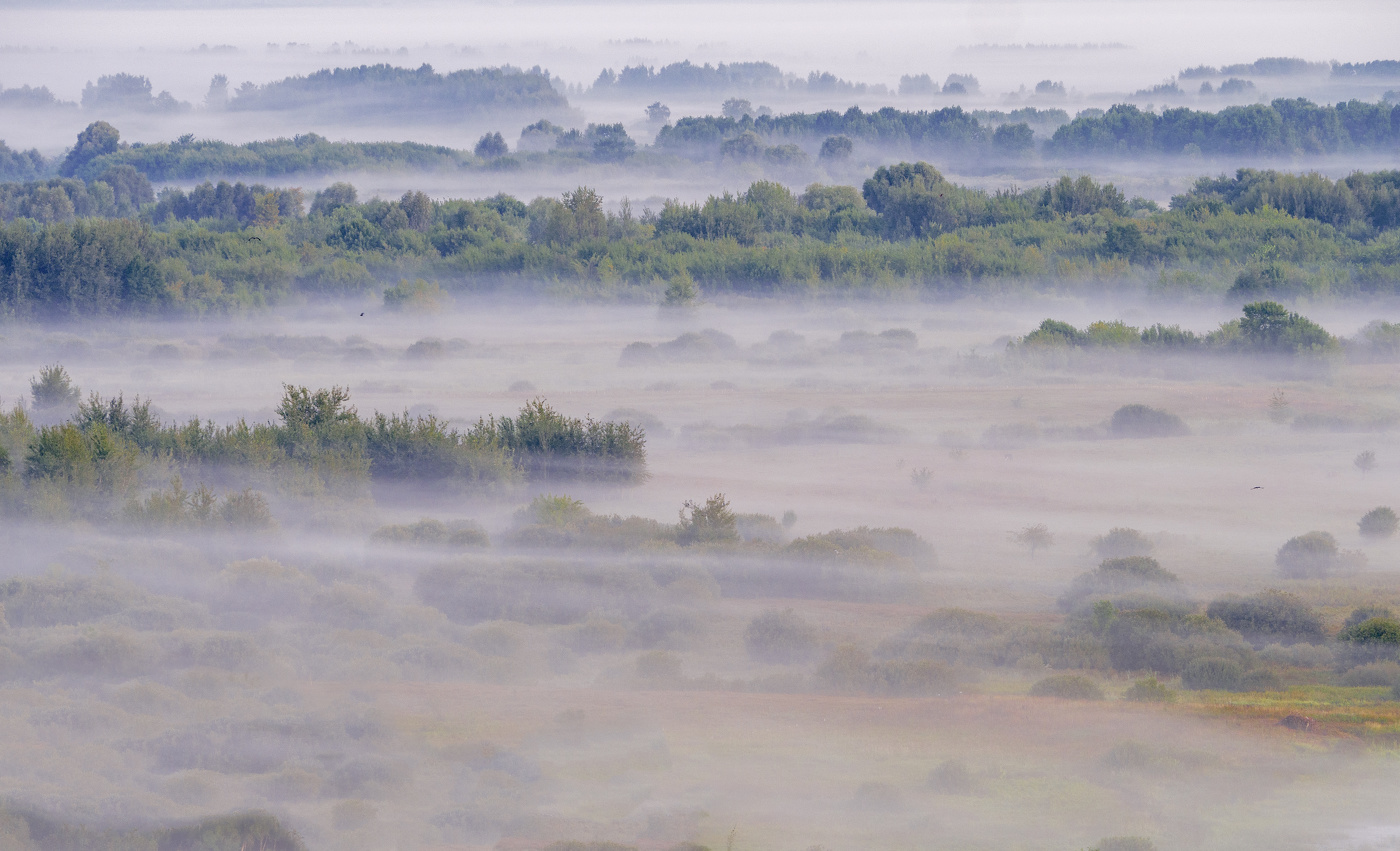 Туманный этюд