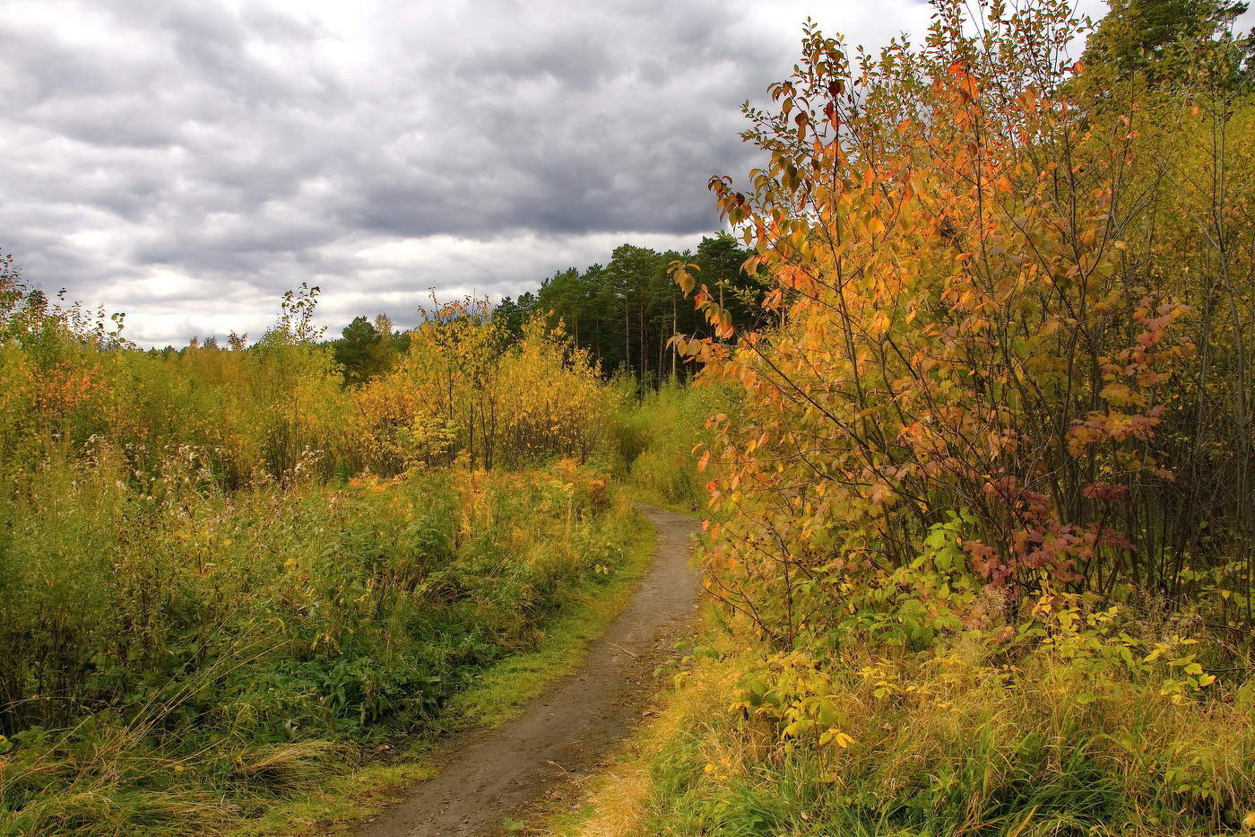 *Осенним днём.**