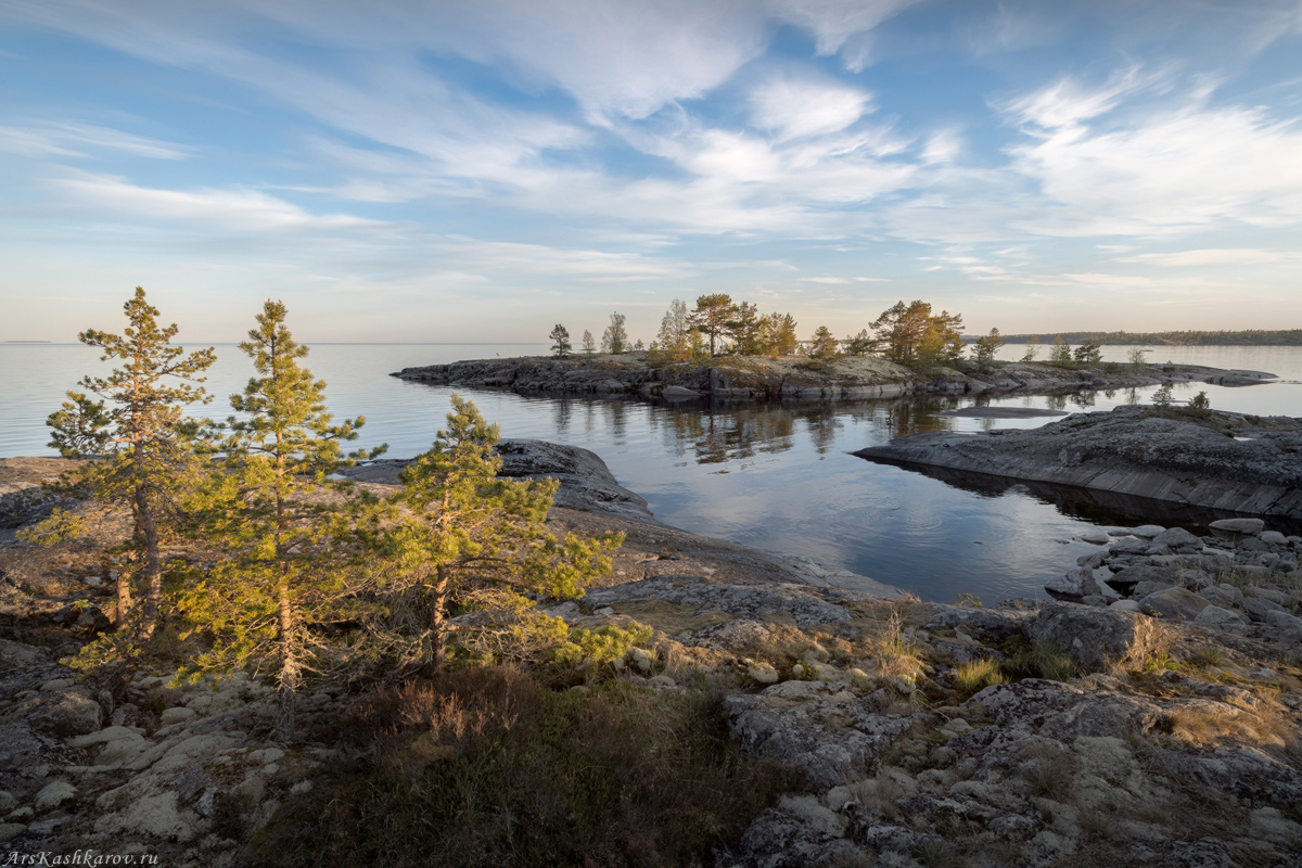 "Сосны и острова"