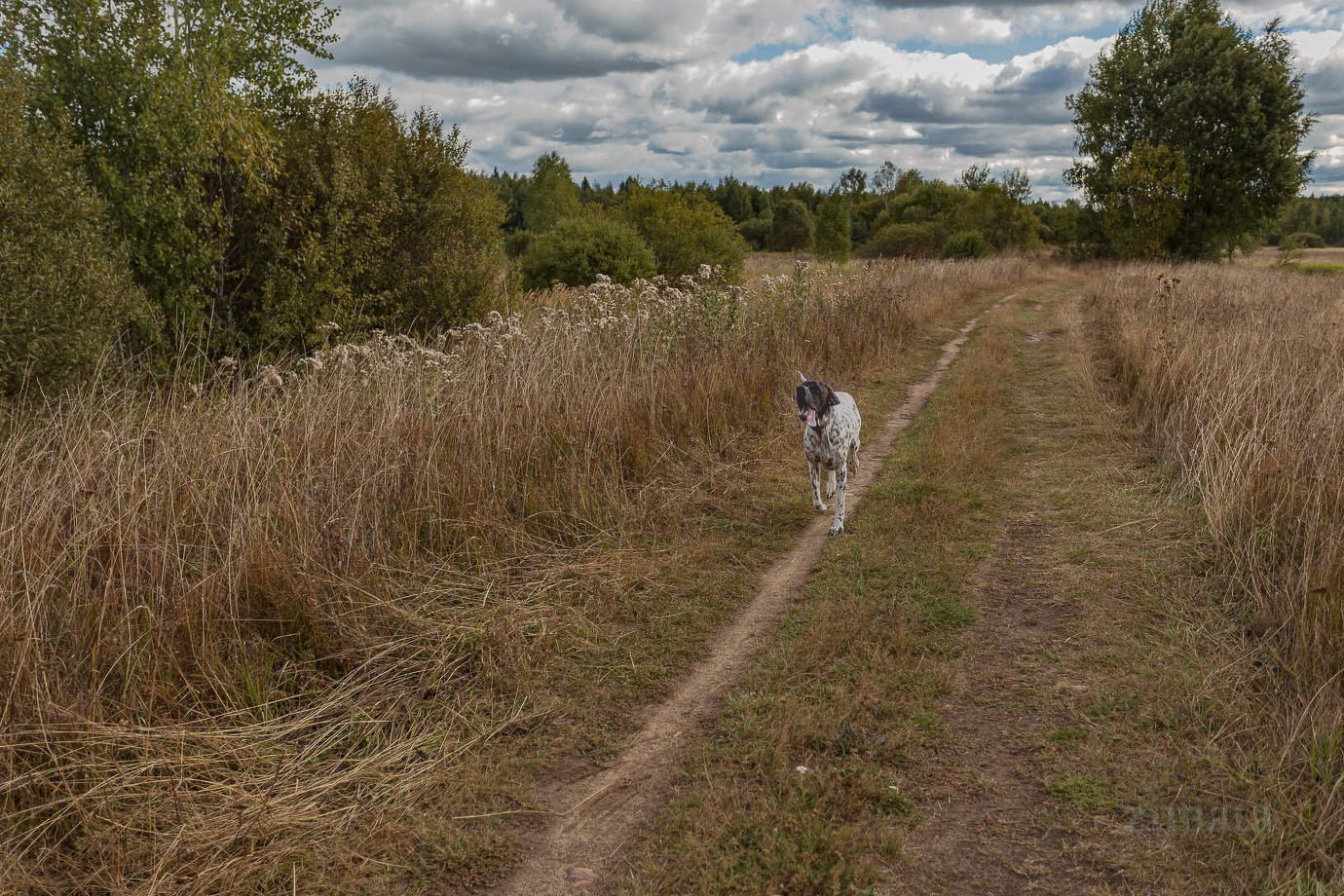 По осенней дороге