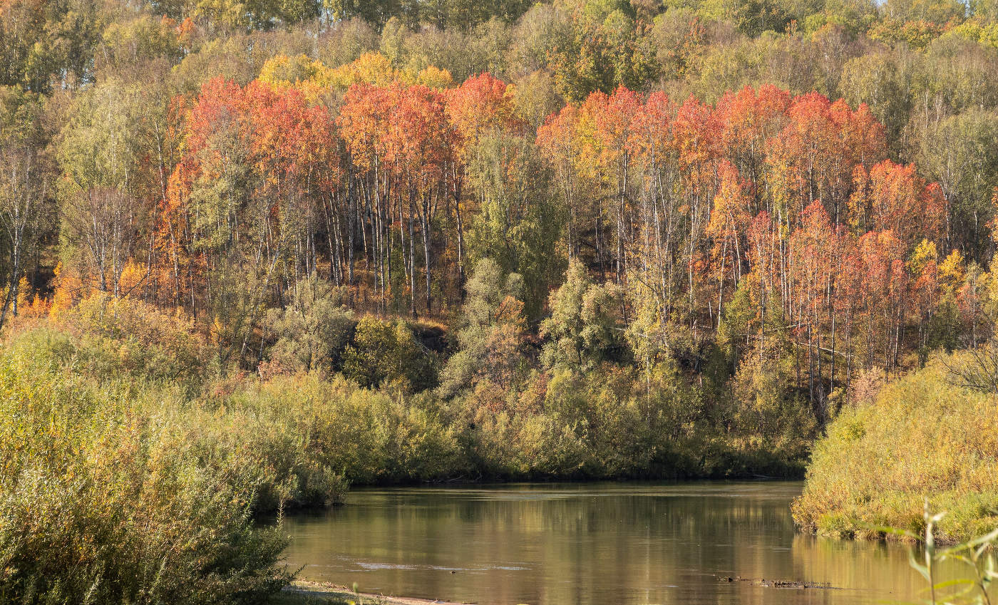 за поворотом осень