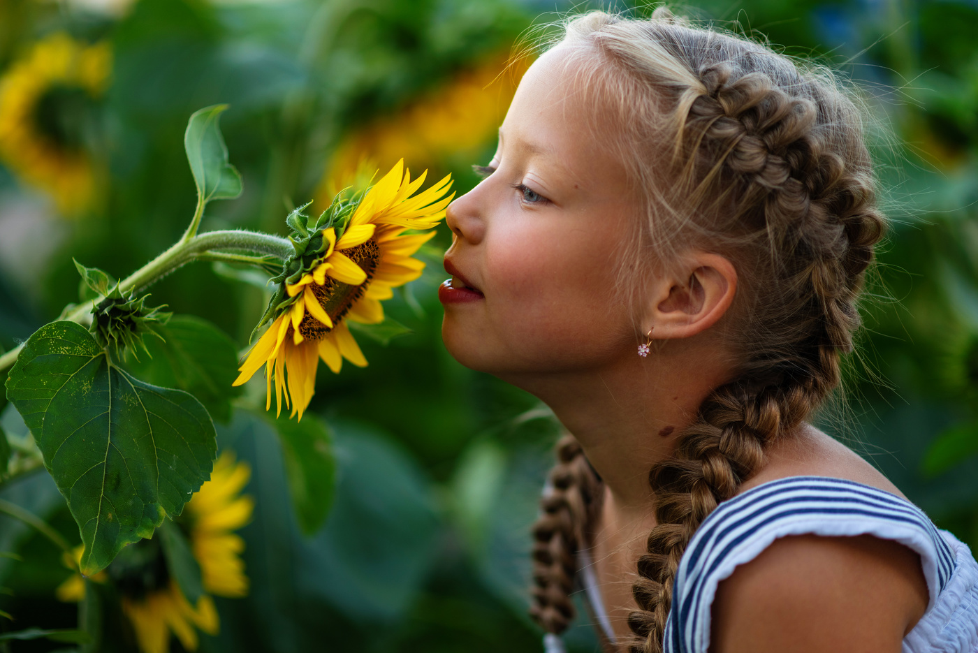Осколки солнечного дня