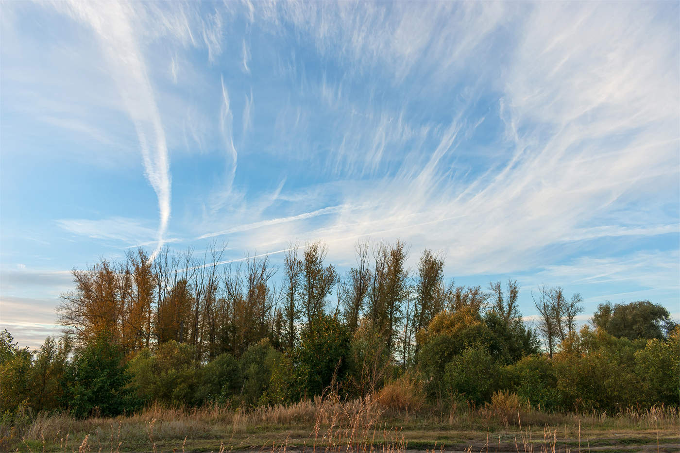 Светла вуаль небес осенних...