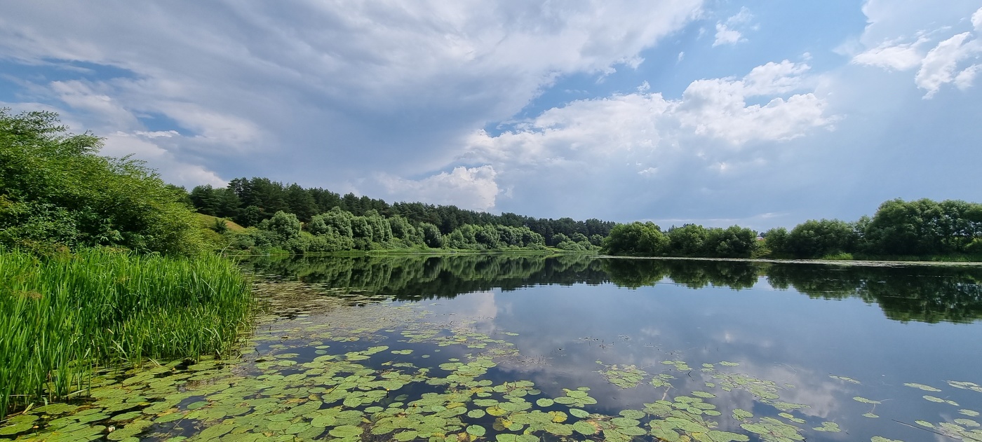 Летнее утро...