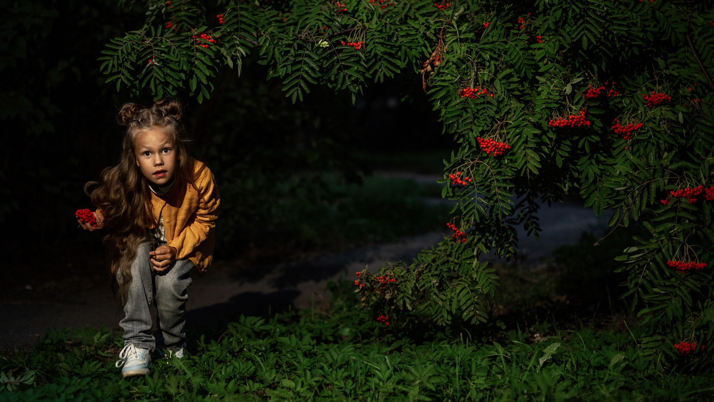 Под костром рябин