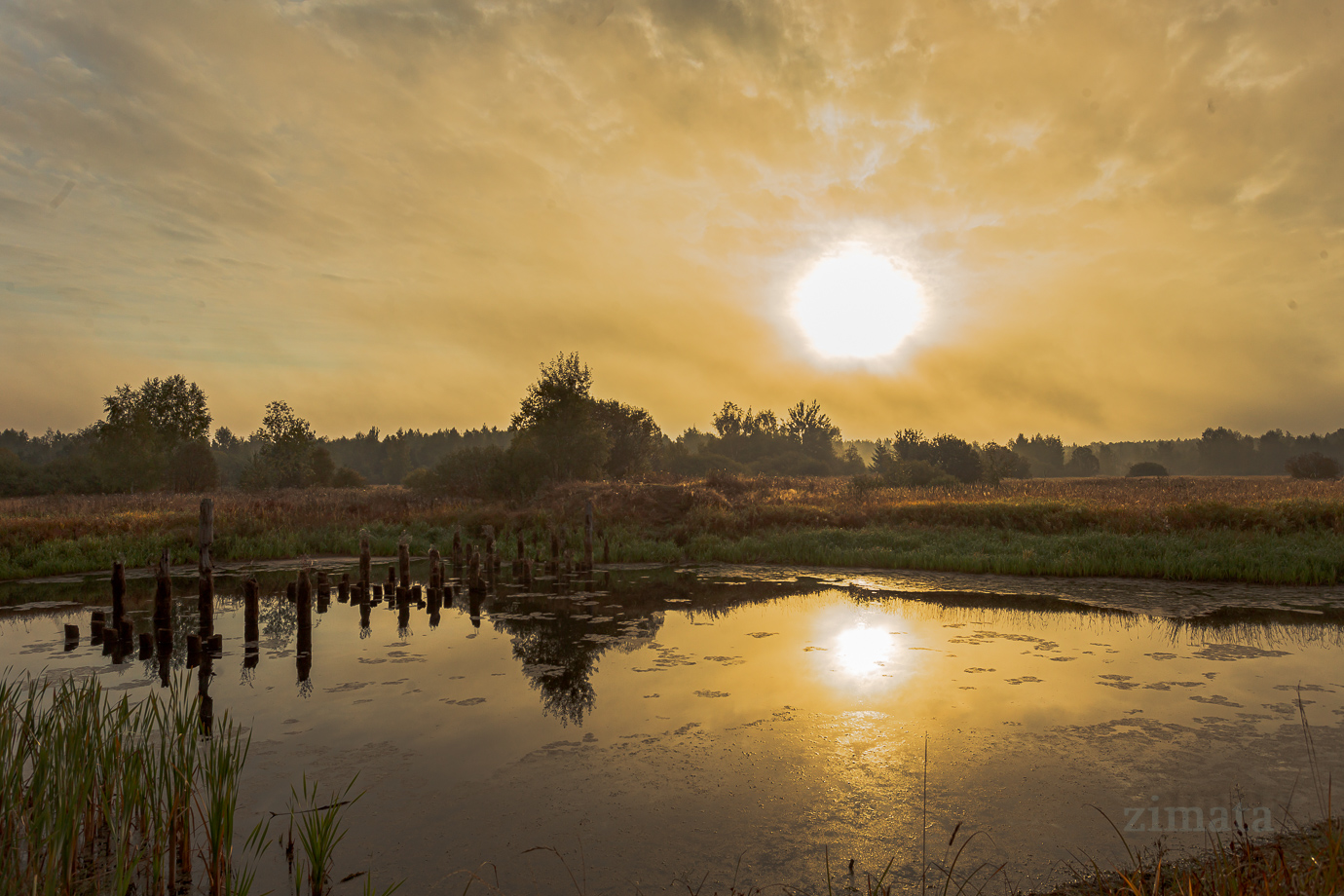 Шёлковый рассвет