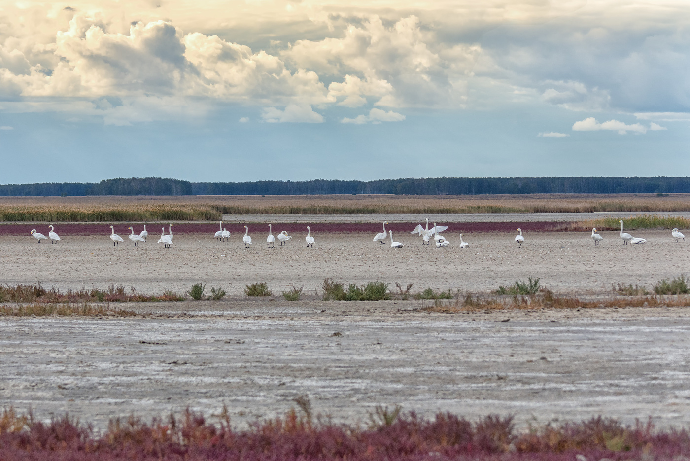 осенние сборы..