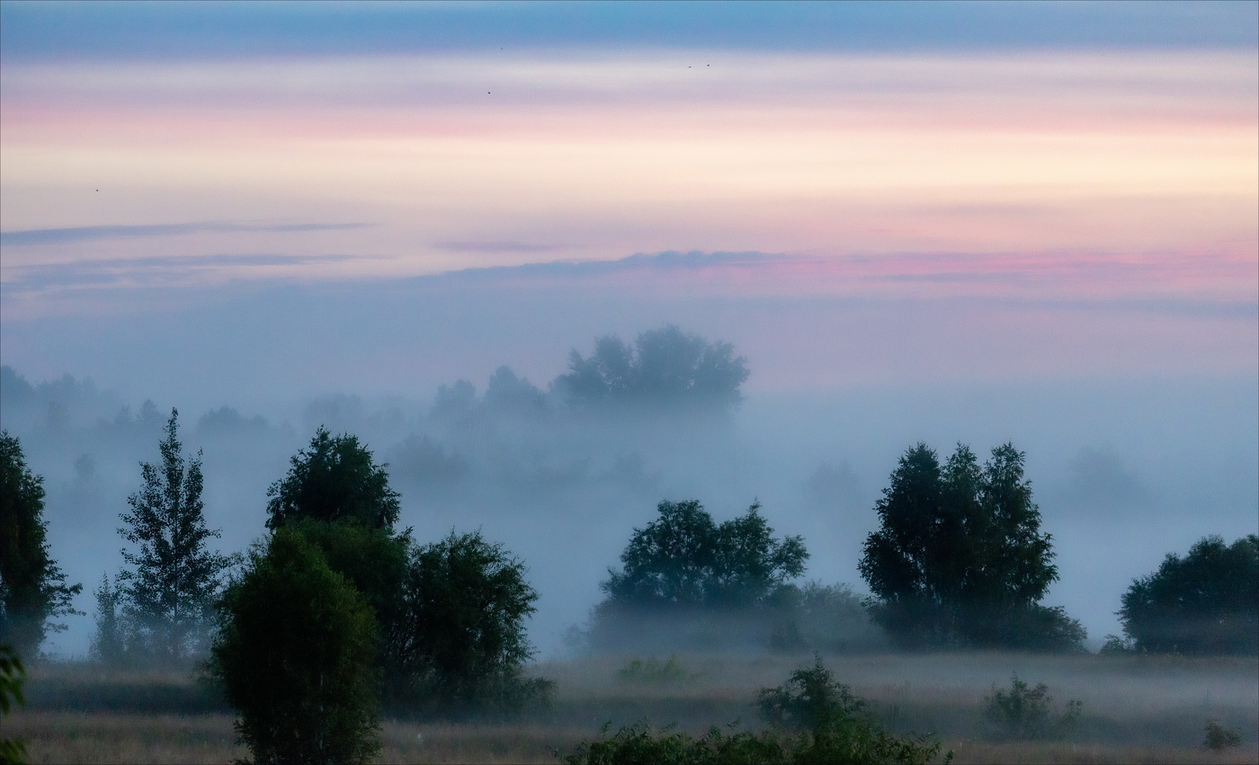 В двух шагах до тумана...