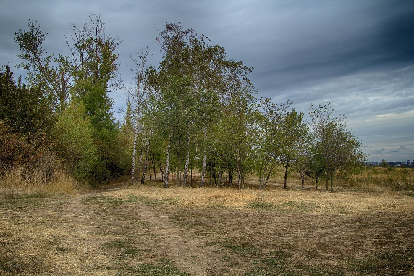 На семи ветрах