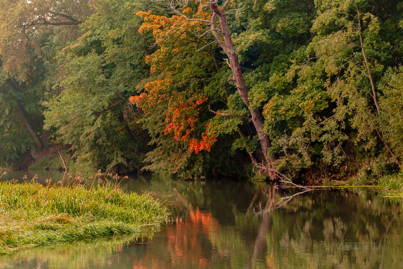Золотое начало