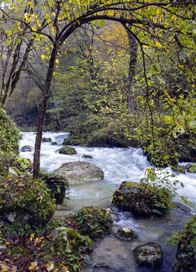 По над речкой...