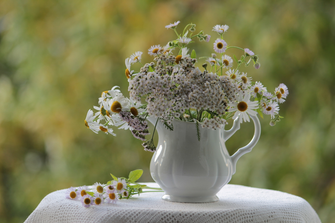 Полевые цветы