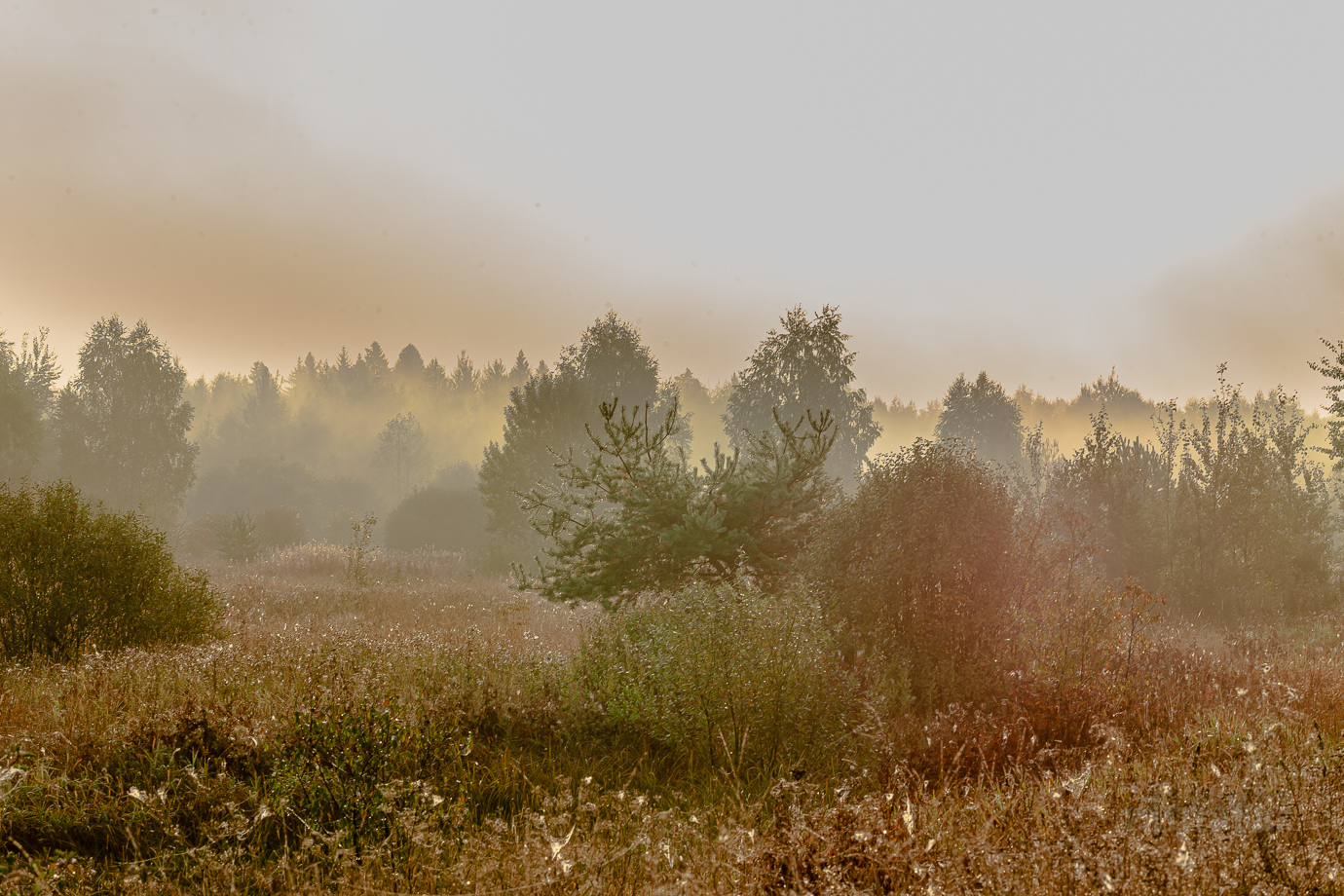 Осенний туман