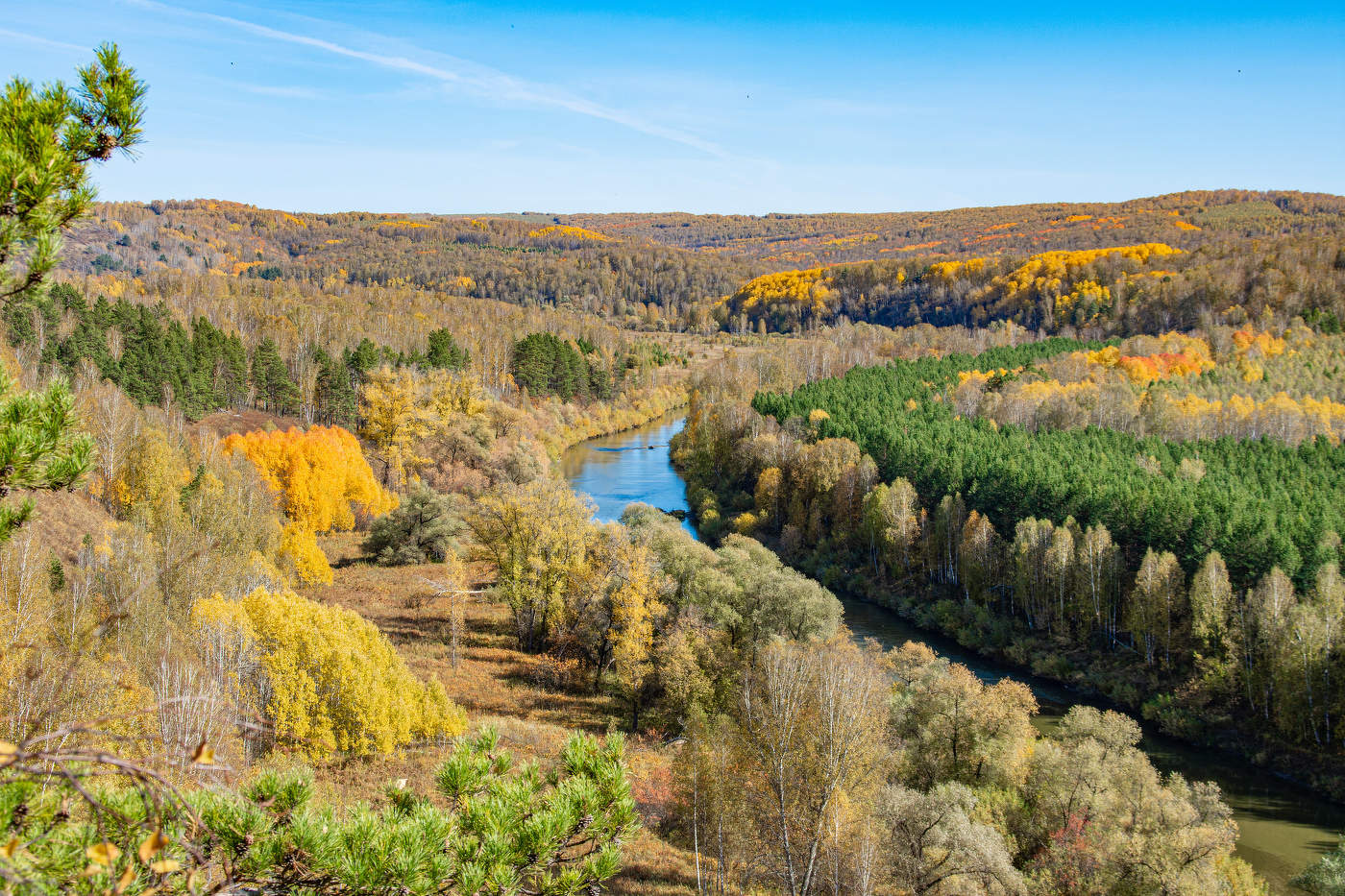 Золото осени