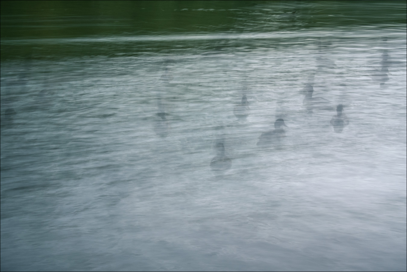 неперелетные