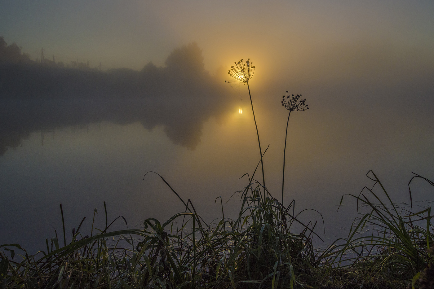 Ловец солнца