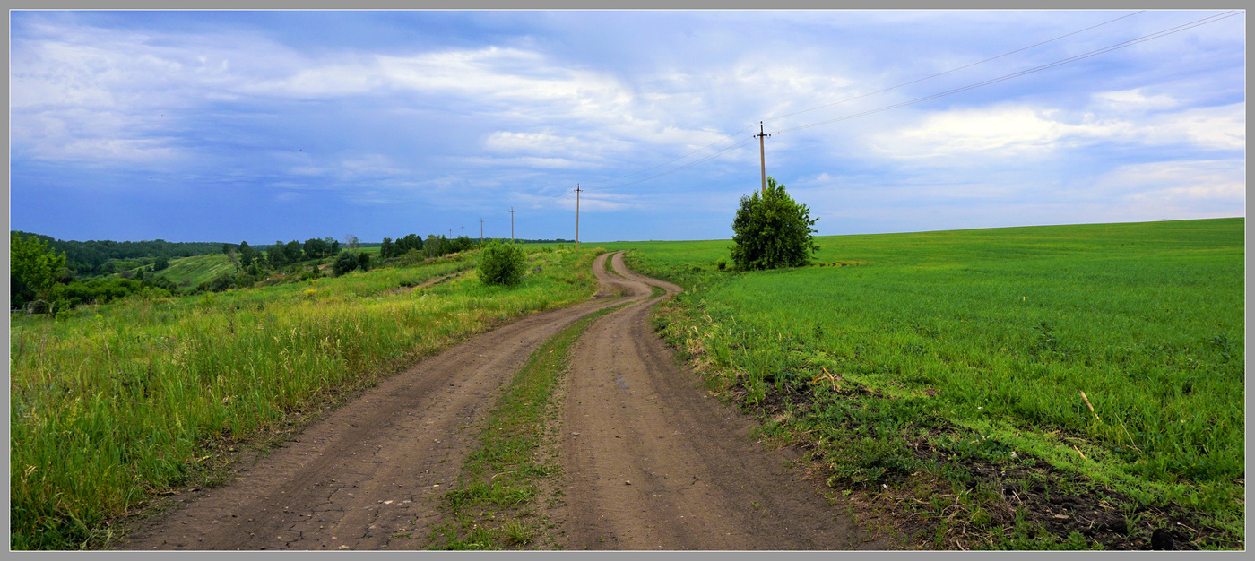 Полевыми дорогами