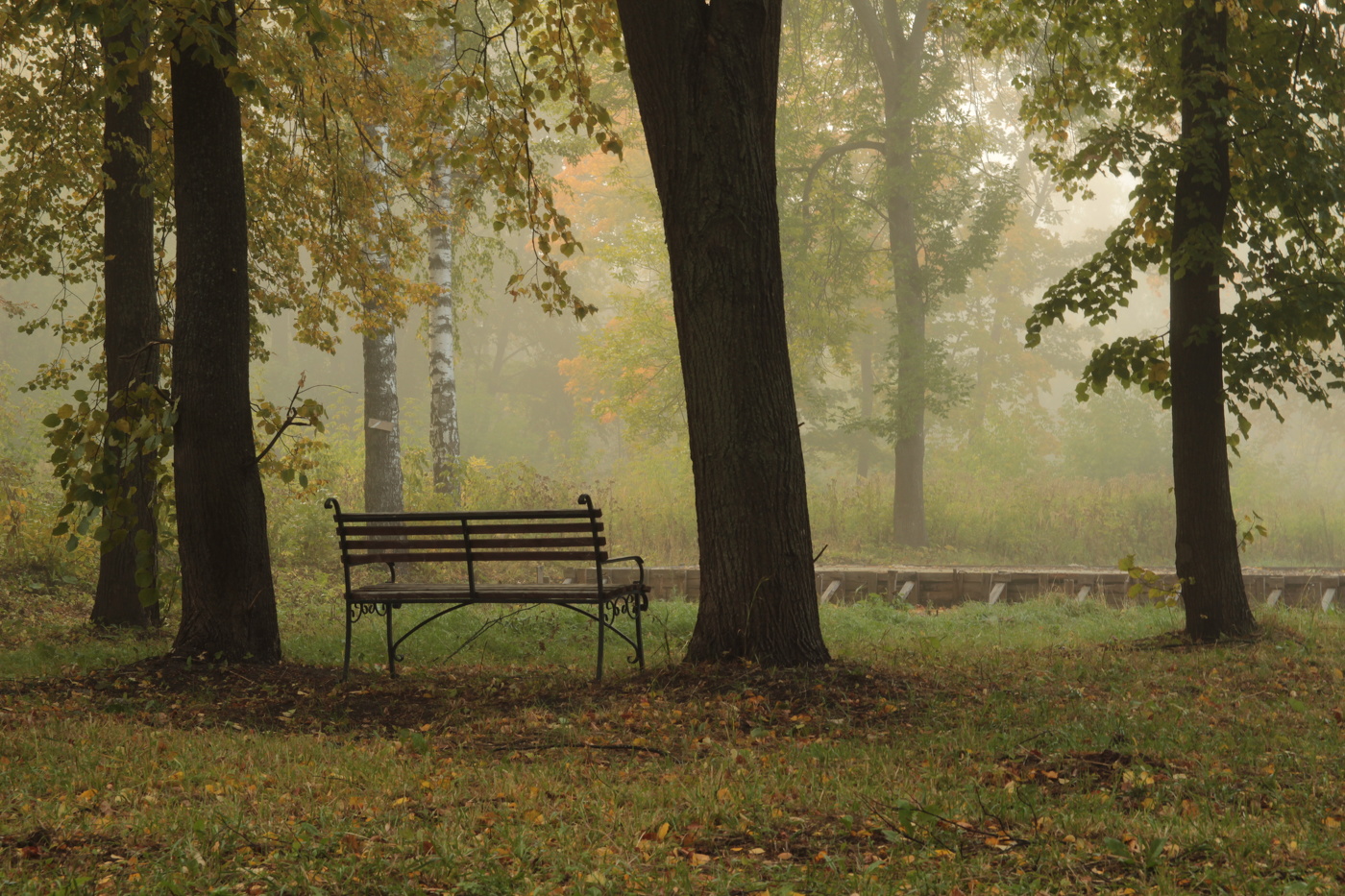 Утро туманное...