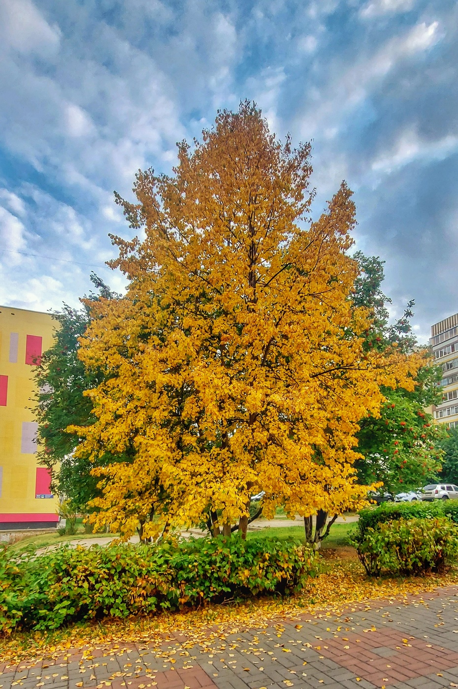 Встречаем осень