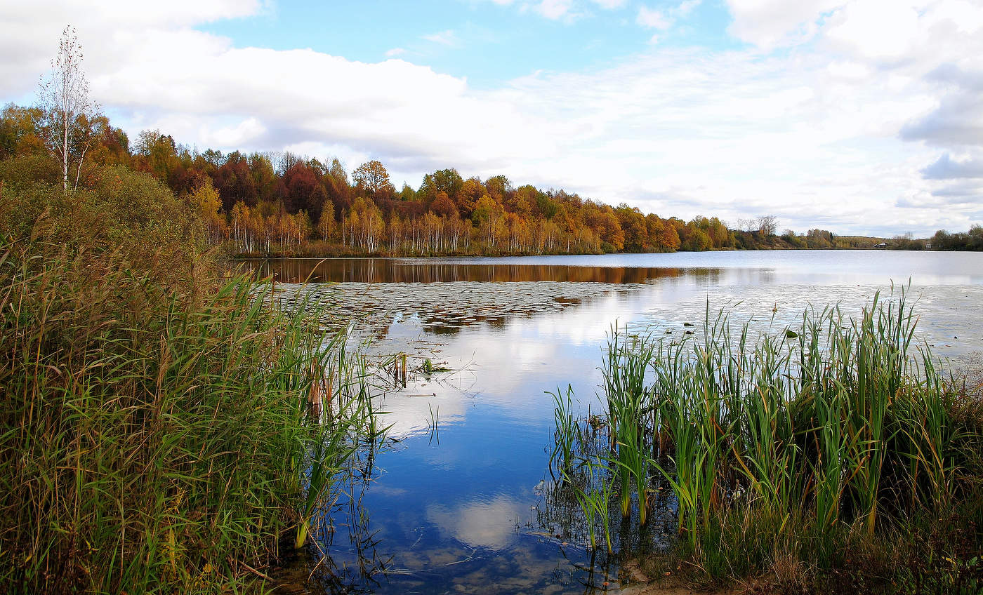 Осень - рыжая подружка...