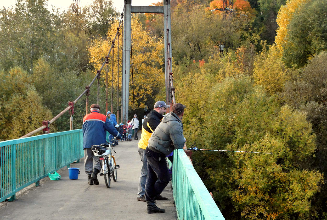 Осенняя рыбалка с моста