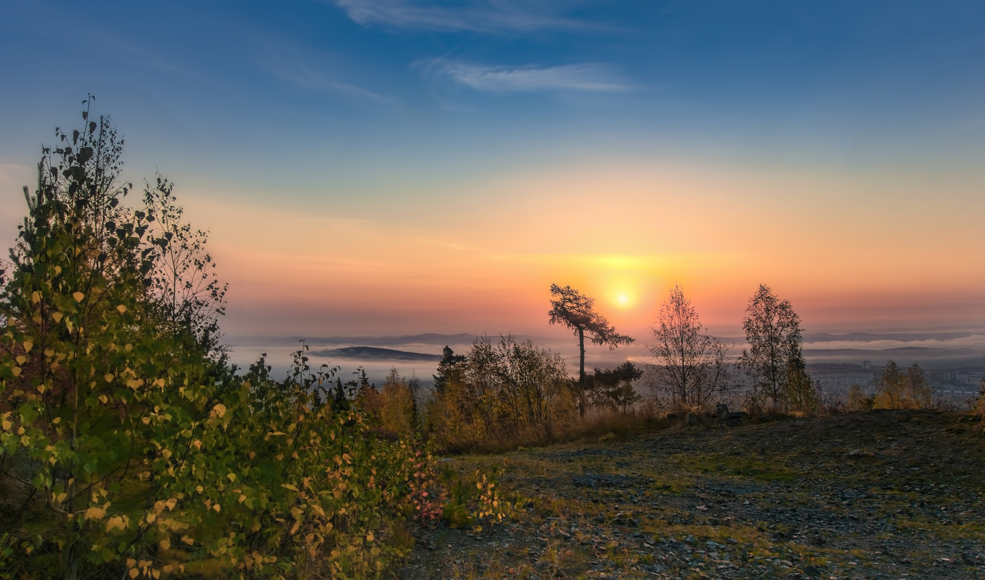 Туманное утро